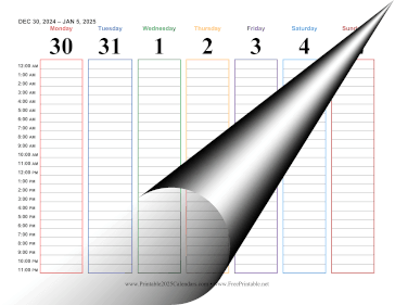 Printable 2025 Hourly Calendar