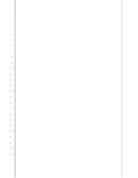 Blank pleading paper, 25 lines, 1-inch left and right margins, double and single border lines