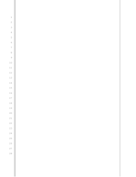 Blank pleading paper, 28 lines, 1-inch left and right margins, double and single border lines