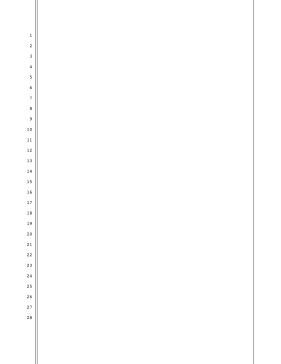 Blank pleading paper, 28 lines, 1-inch left and right margins, double and single border lines