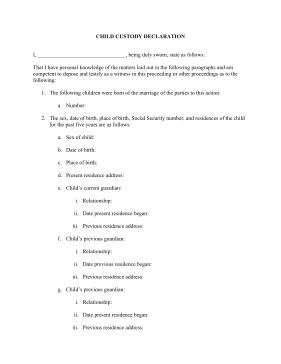 Child Custody Form