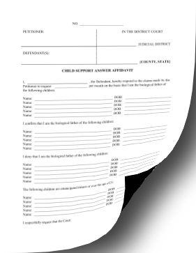 Child Support Answer Affidavit