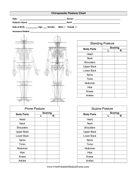 Chiropractor Posture Chart