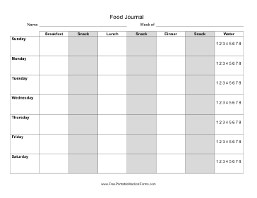 Daily Food Journal