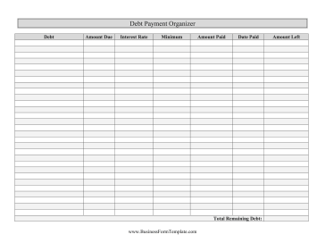 Debt Payment Organizer