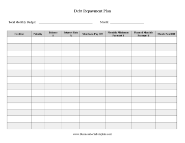 Debt Repayment Plan