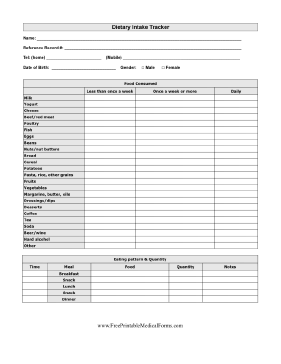 Food Quantity Intake Record