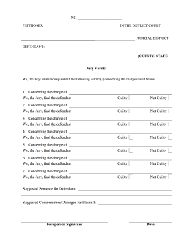 Jury Verdict Form