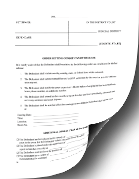 Order Setting Conditions Of Release