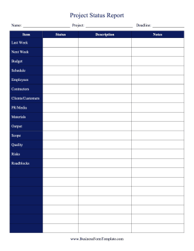 Project Status Report