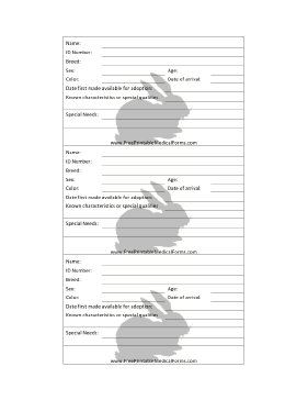 Rabbit Adoption 3x5 Cage Card