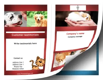 Printable Veterinary Brochure-Bifold