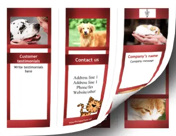 Printable Veterinary Brochure-Trifold