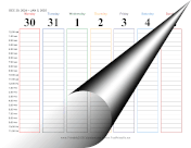 Printable 2025 Hourly Calendar