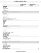 Balance Sheet