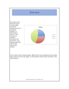 Business Report Template