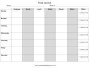 Daily Food Journal