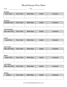 Daily Glucose Flow Sheet