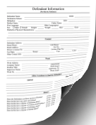 Defendant Information Form