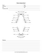 Feline Dental Chart