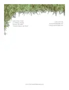 Pine Tree Canopy stationery design