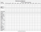 Profit And Loss Statement