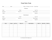 Team Entry Form