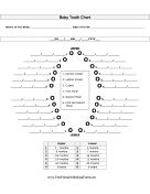 Baby Tooth Chart