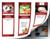 Printable Veterinary Brochure-Trifold